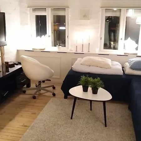 Skon Lejlighed Med Gardhave. - Ottos Kahyt Odense